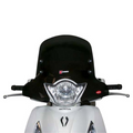 Cupolino FACO Honda SHi 125 2012/2016 28600