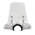 Parabrezza FACO PEUGEOT VIVACITY (08-15) - 22926