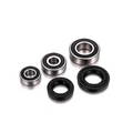 Kit cuscinetti ruota posteriore Factory Links KTM 390cc