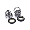 Kit cuscinetti sterzo Factory Links GAS GAS (OLD) - RIEJU