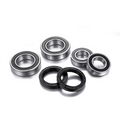 Kit cuscinetti ruota anteriore Factory Links per DUCATI MULTISTRADA 1260