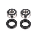 Kit cuscinetti ruota anteriore Factory Links per BMW  F 800 GS '13