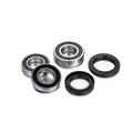 Kit cuscinetti ruota posteriore Factory Links BMW S 1000 RR