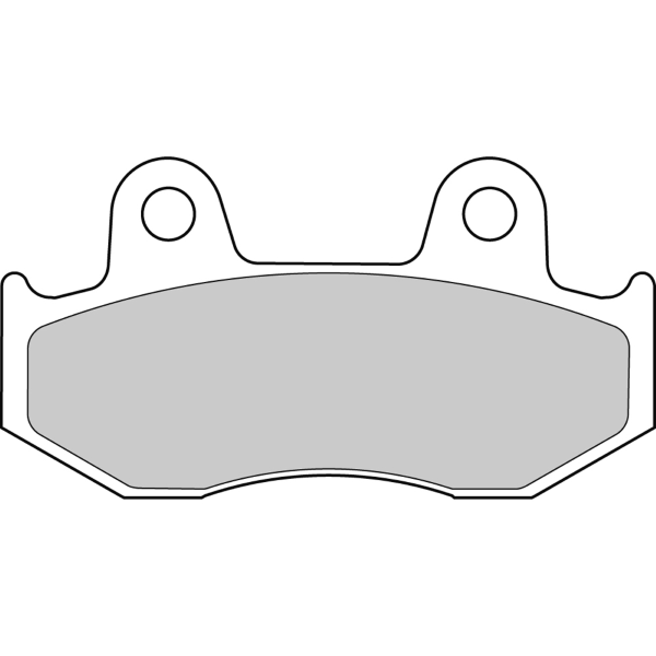 Pastiglie Freno Ferodo Off-Road FDB2119SG