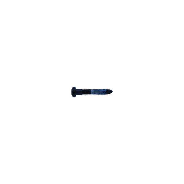 Vite regolazione minimo Keihin per carburatori Pwk28-41 in plastica per ghigliottine cromate - 1034-853-2000