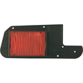Filtro Aria Nypso Honda Foresight/Peugeot Sv/Piaggio X9 250cc