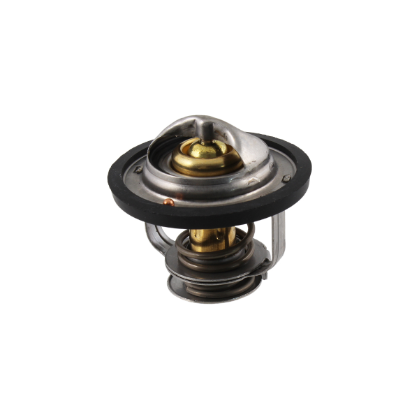 Termostato RMS Piaggio Porter 1.3