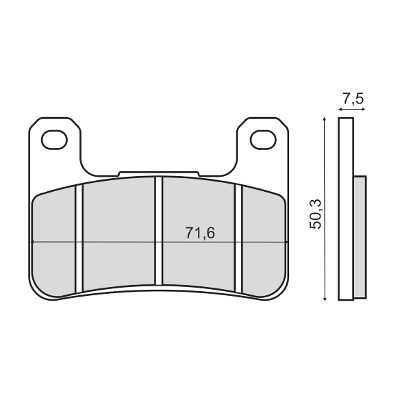 Pastiglie Freno RMS Organiche Kawasaki Z1000 Abs