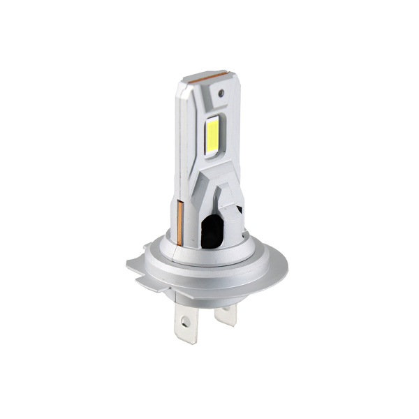 Lampadina RMS H4 12V LED