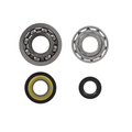 Kit revisione albero motore RMS Classic Piaggio Vespa Et3/Primavera 125cc