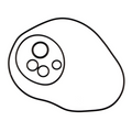 Kit O-ring motore RMS Classic Piaggio Vespa PX-T5-VLB-VBB