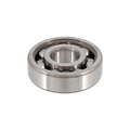 Cuscinetto a sfere SKF 17x47x14 6303